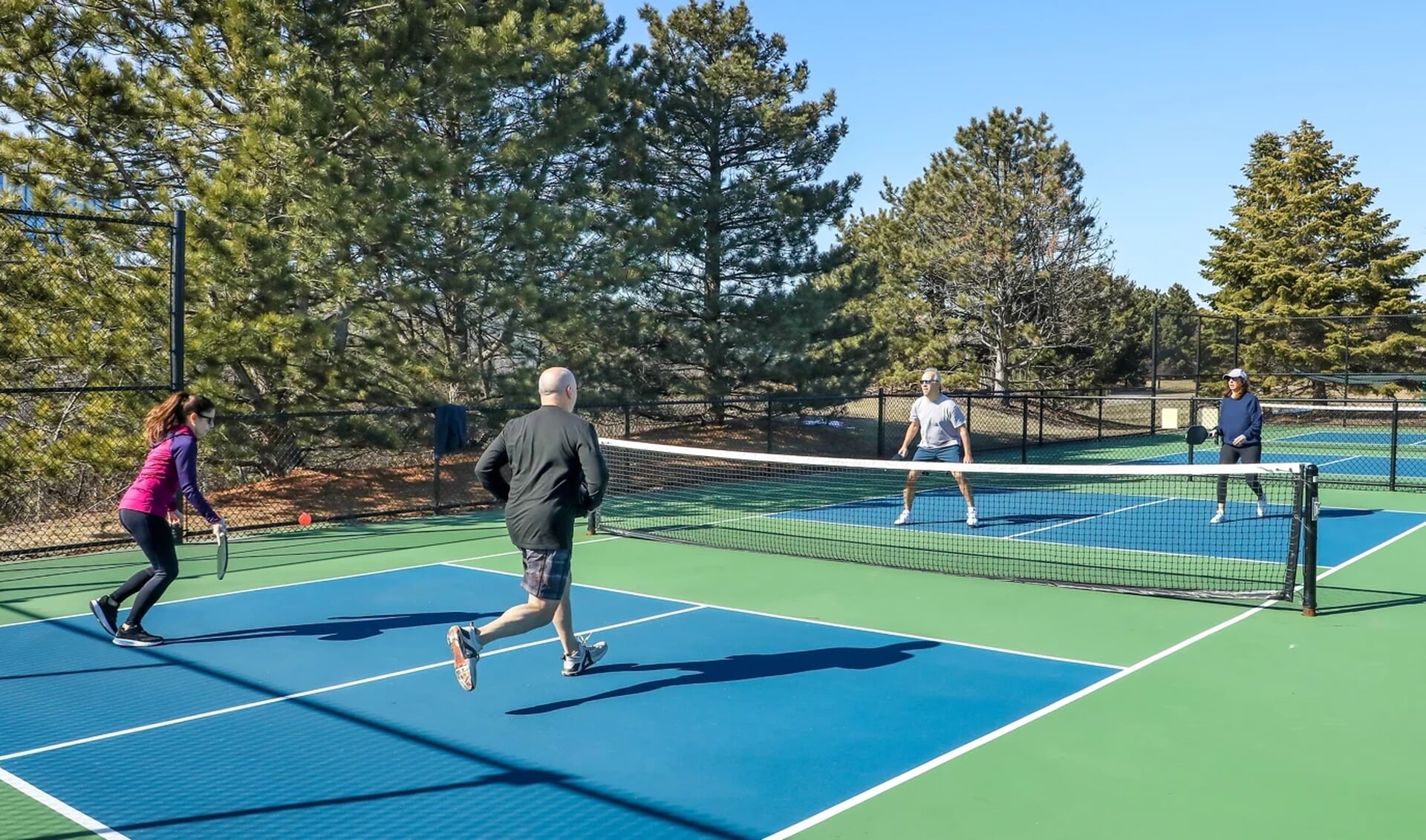 ontdek de opkomst van pickleball, de snel groeiende racketsport die speelplezier en toegankelijkheid combineert voor alle leeftijden.