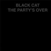 ontdek hoe de sleutelspeler het succes van de black cats heeft bepaald en hun prestaties naar een hoger niveau heeft getild.