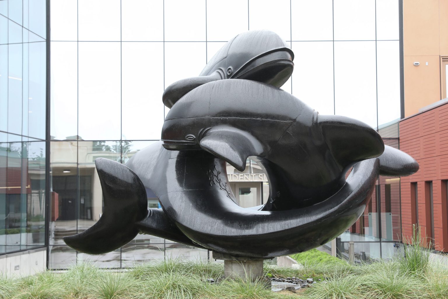 wayne tinkle na 12 seizoenen ontslagen als coach van oregon state basketbalteam.