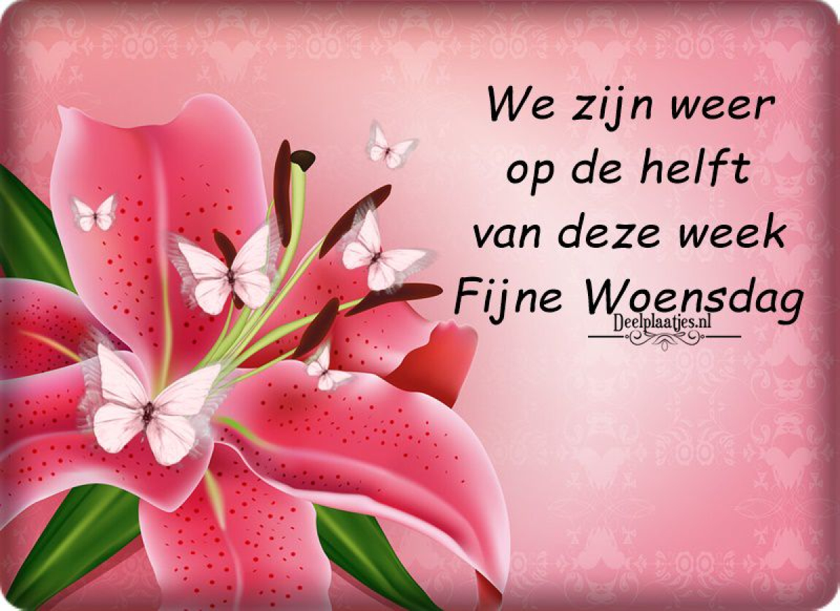 ontdek elke woensdag de nieuwste schooluitslagen en prestaties van leerlingen. blijf op de hoogte van academische voortgang en successen.